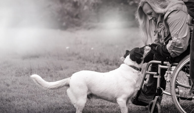 Read more about the article Johnson’s 100 Year Birthday Charity Spotlight: Meet Dog’s for Good