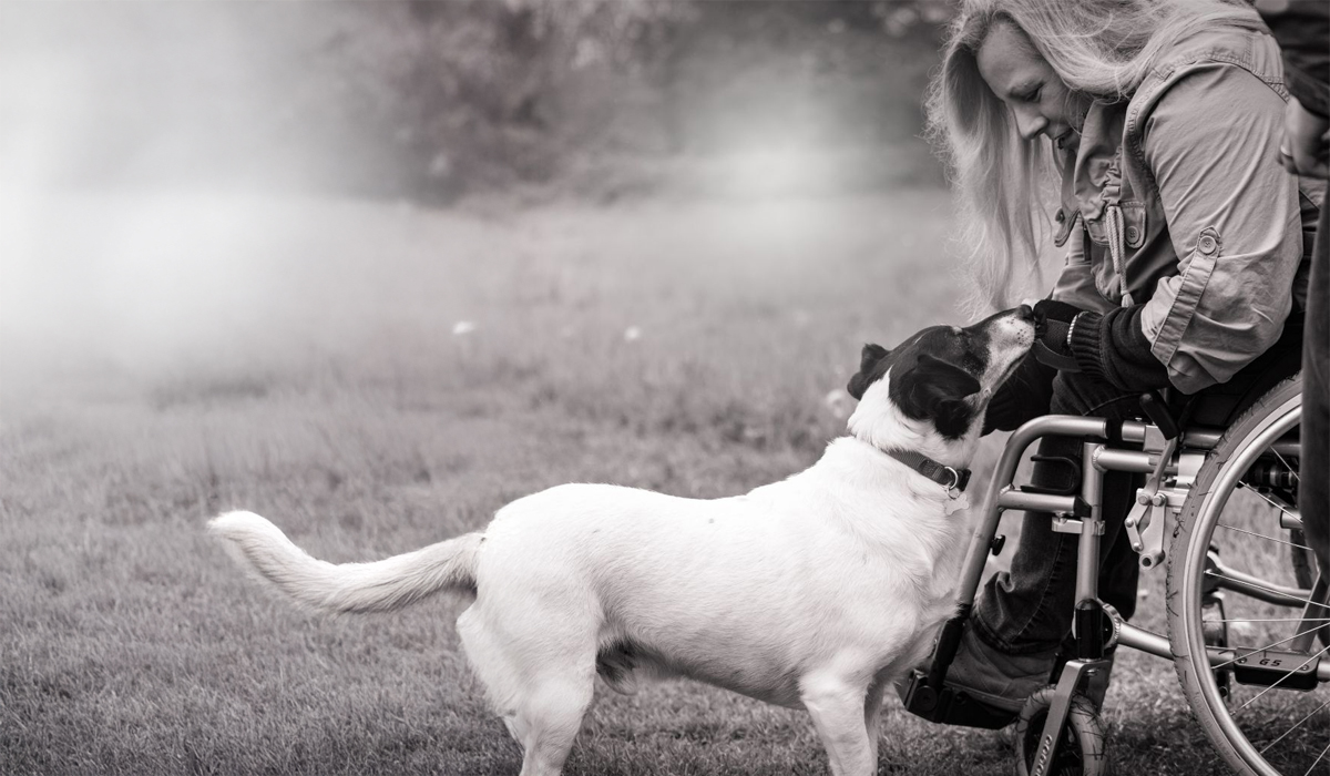 You are currently viewing Johnson’s 100 Year Birthday Charity Spotlight: Meet Dog’s for Good