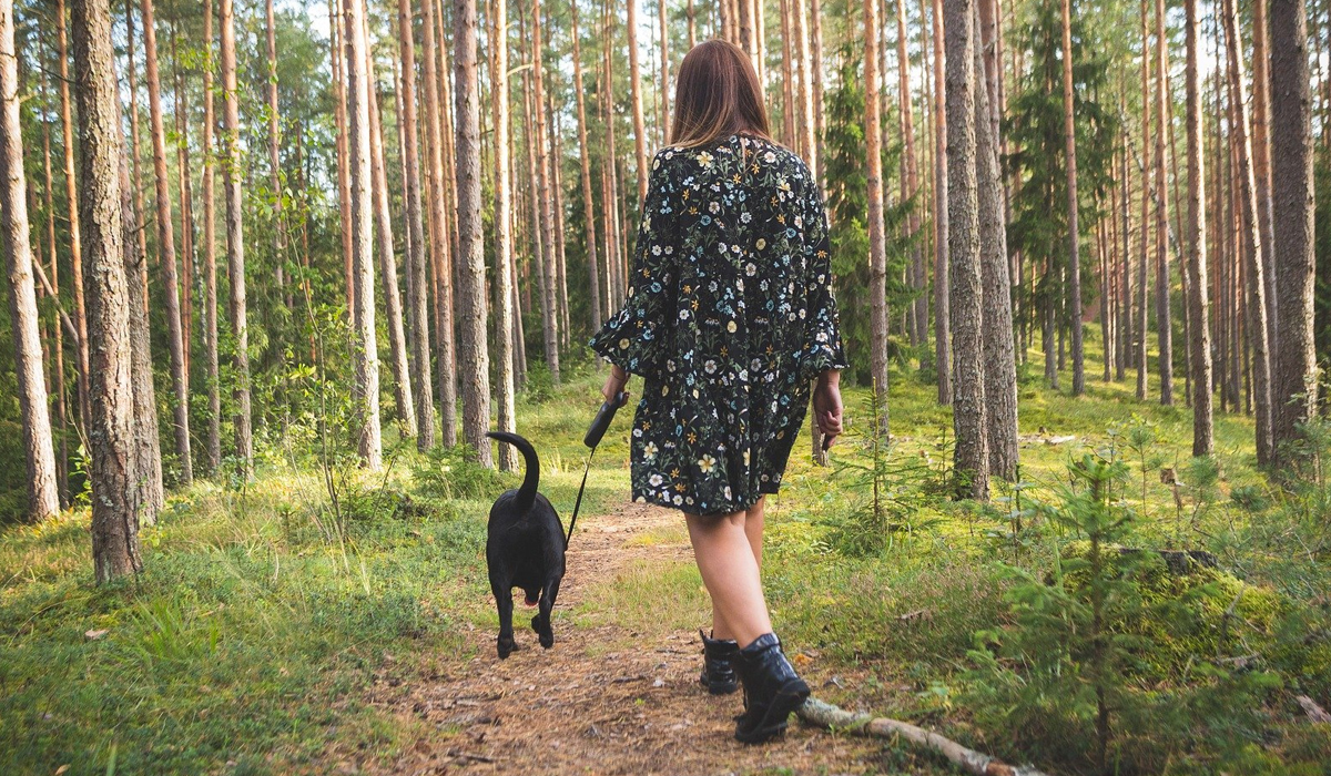 You are currently viewing Six Ways to Celebrate National Dog Day
