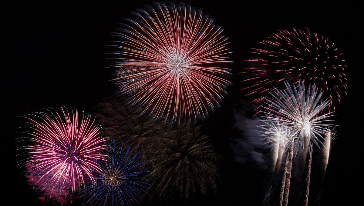 Read more about the article Preparing Your Pet for Firework Season