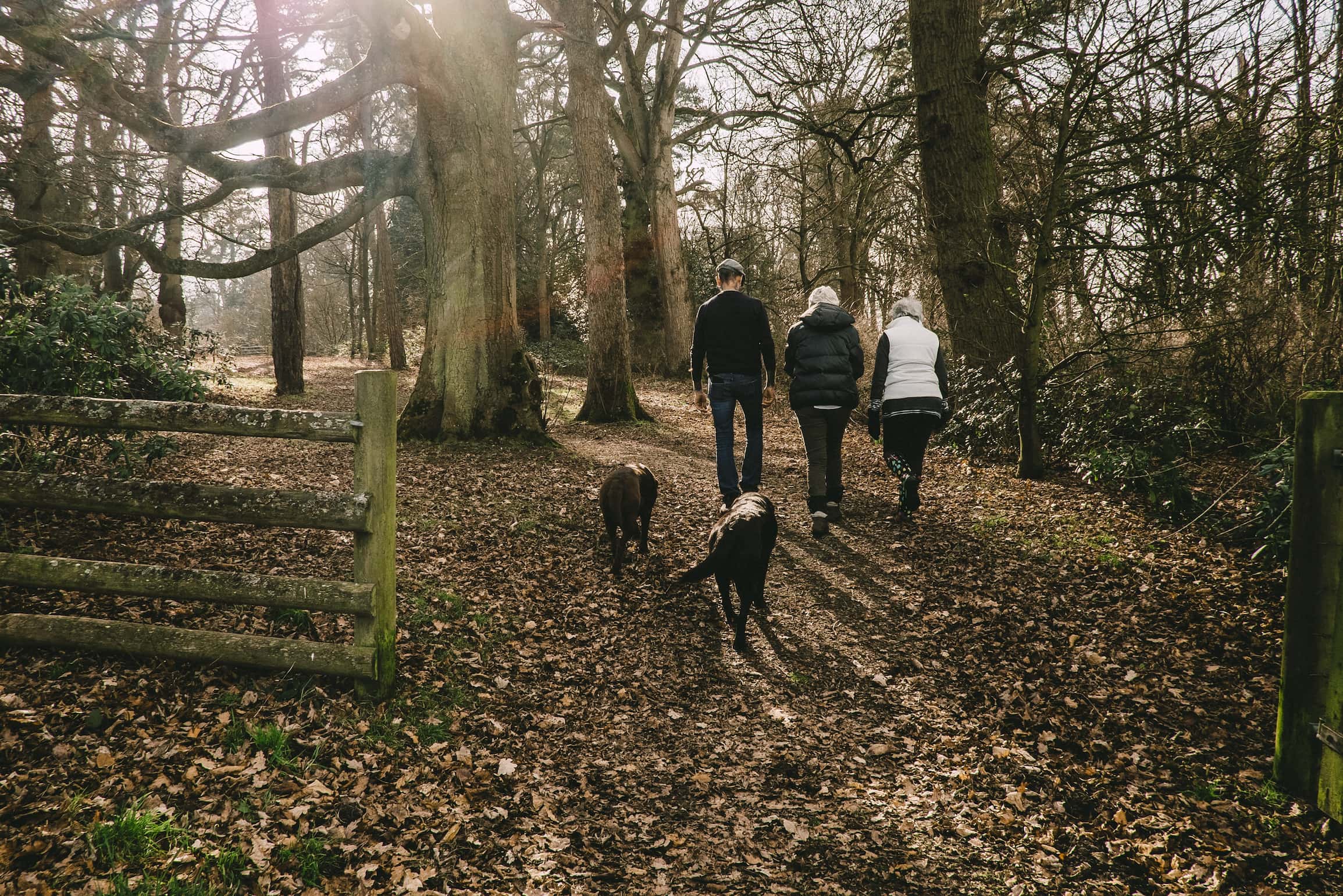 Read more about the article Johnson’s Sponsor Annual Boxing Day Charity Dog Walk
