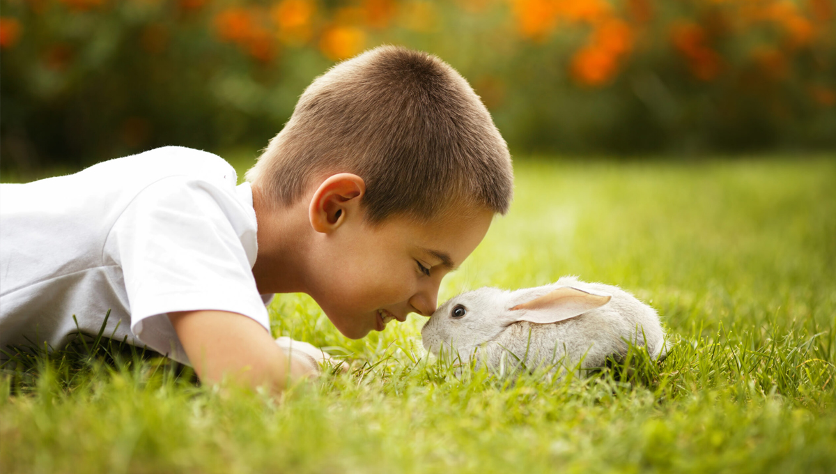 You are currently viewing Should I Buy a Rabbit for Easter?