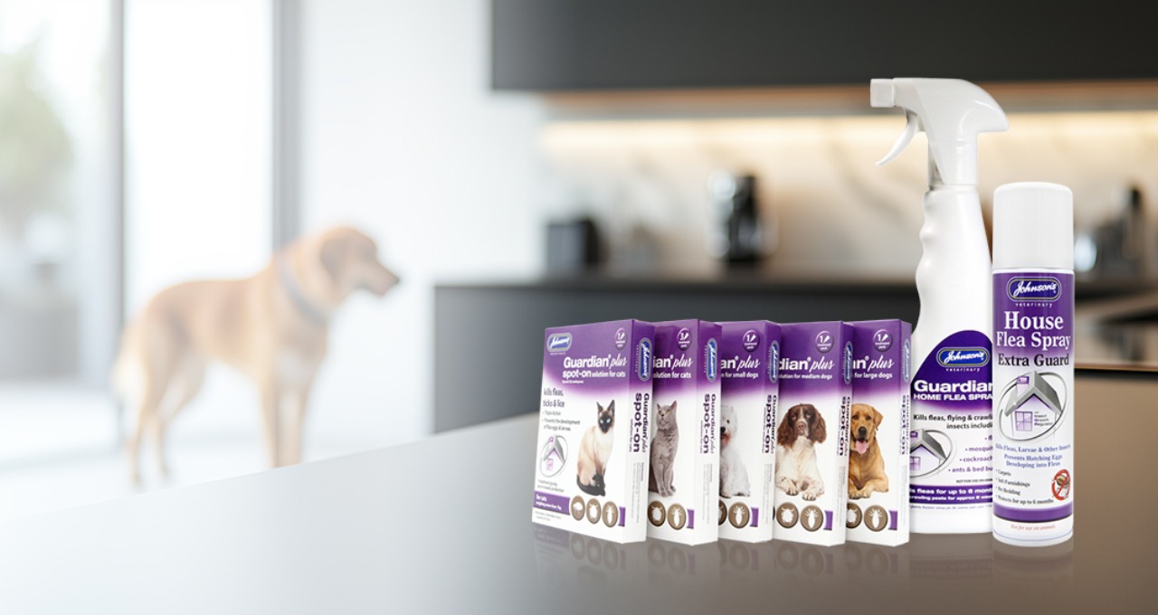 You are currently viewing Johnson’s launches new Guardian®plus Spot-on – Powerful veterinary-strength flea, tick and lice control for cats and dogs 